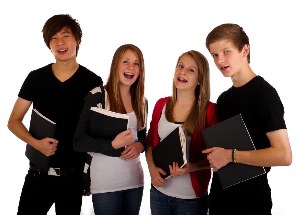 Ein Zwischenjahr in der Fremde oder ein Praktikum im Wunschberuf sind attraktive Alternativen zur Berufslehre. (© shootingankauf / Fotolia)